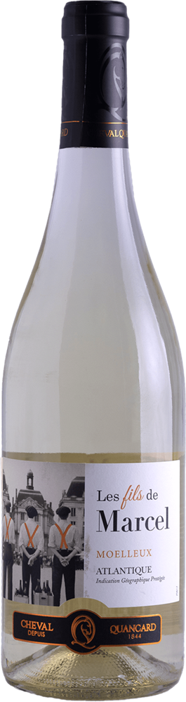 Les Fils de Marcel Vin de Pays Atl Blanc Moelleux 2023 Cheval Quancard S.A. - Сеть винных магазинов Wine Gallery 